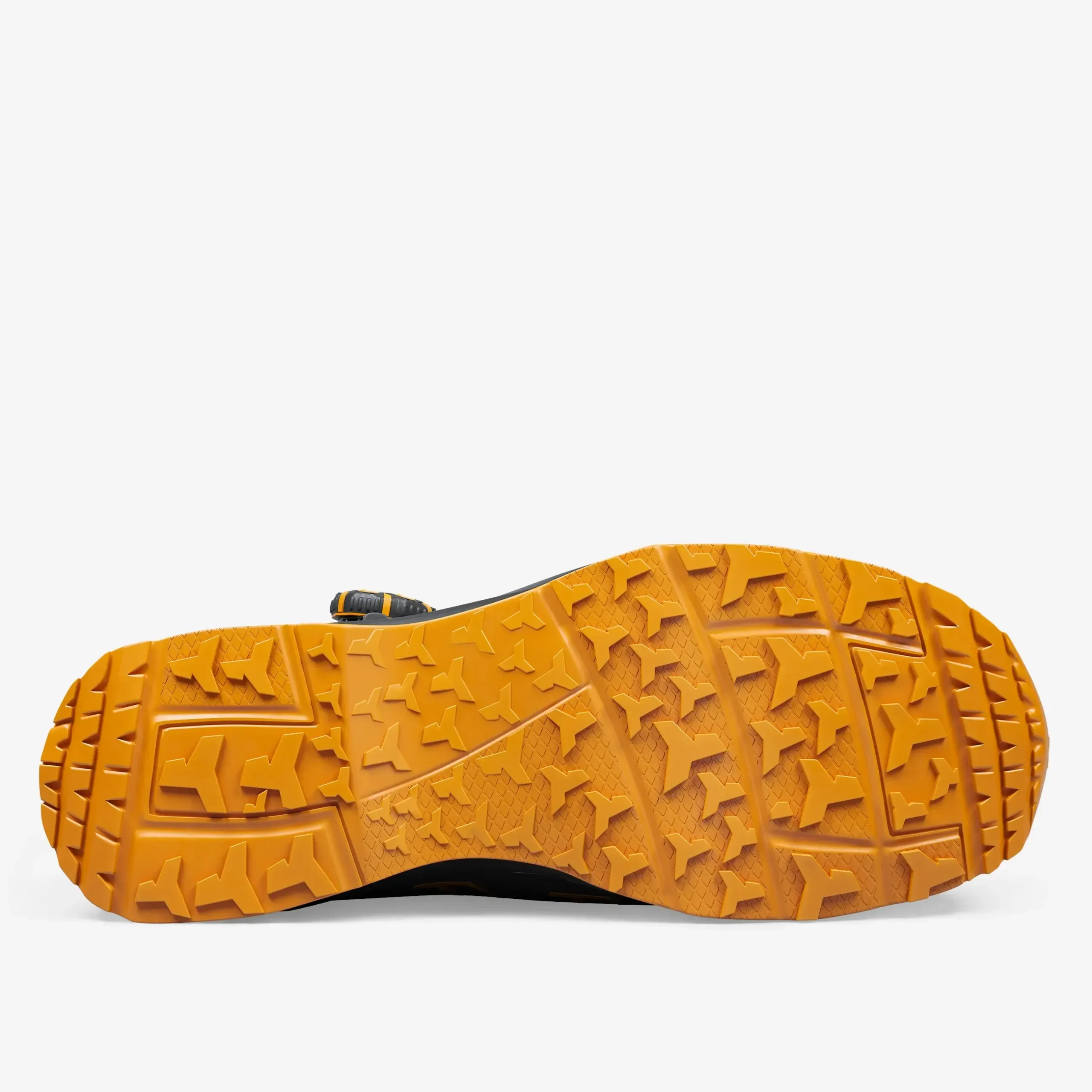 imgi_3_image imgi_3_image